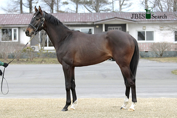 Danon Ballade(JPN) | JBIS-Search Danon Ballade(JPN) | JBIS-Search